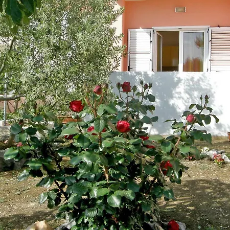 Maslina-2 By Interhome * Srima