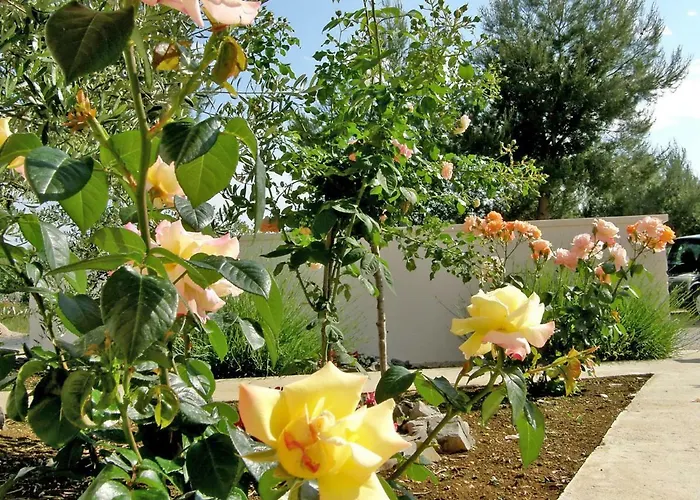 Appartement Maslina-2 By Interhome Srima